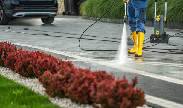 Animal Enclosure Cleaning in Davenport, IA